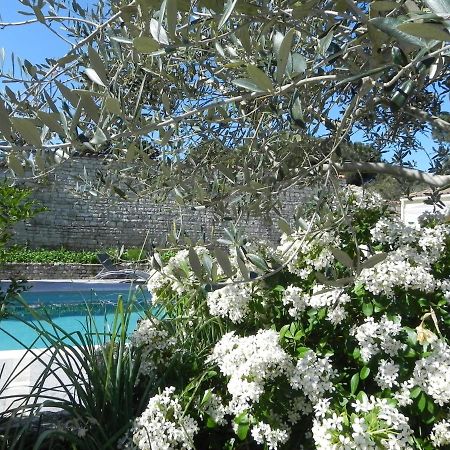 Villa Del Re 3 Face A La Piscine Ла Флот Екстериор снимка